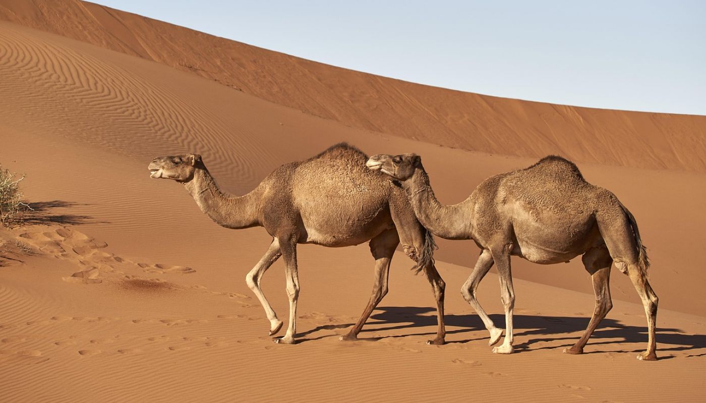 Que ver en marrakech 5 dias