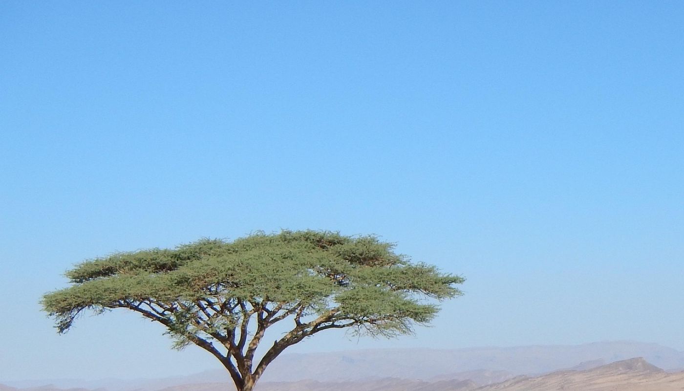 Somos Marruecos: Cultura y Aventura