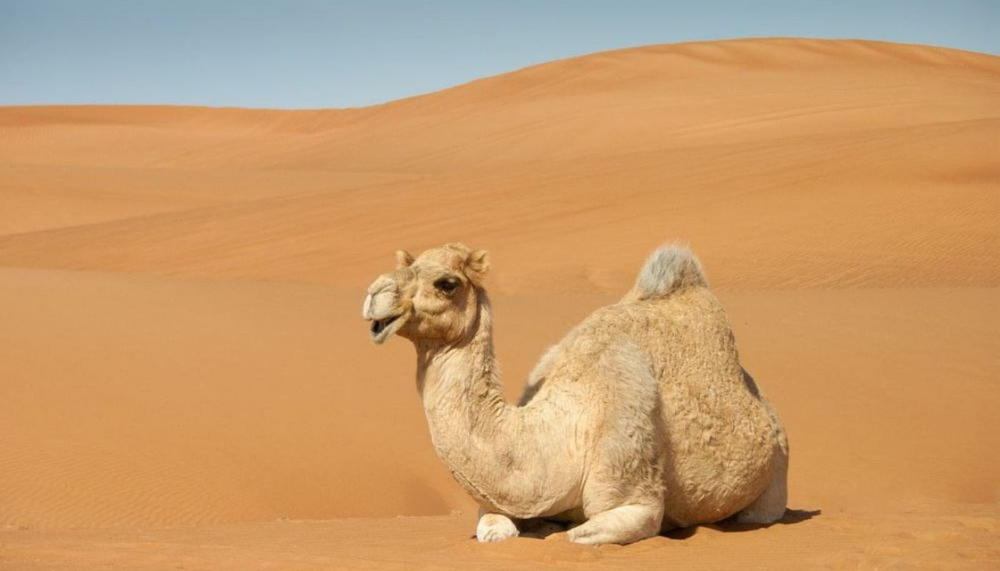 Turismo sostenible en el Sahara de Marruecos