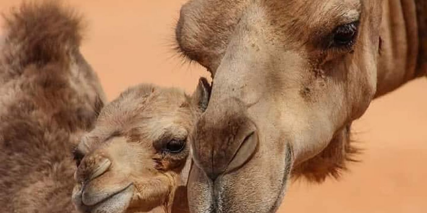 marruecos