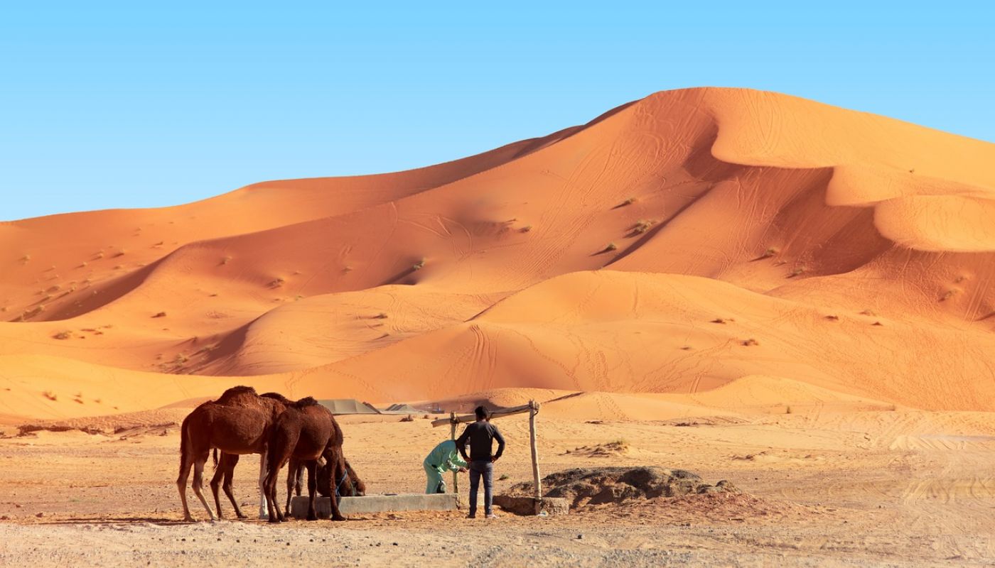 Aventura en camello: Descubre el Sahara