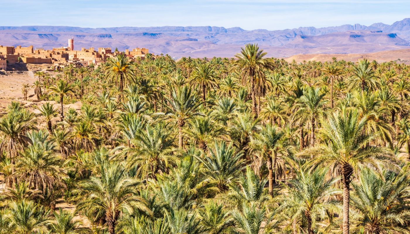 ¿Cuál es el Oasis de las Mil Palmeras de Marruecos?