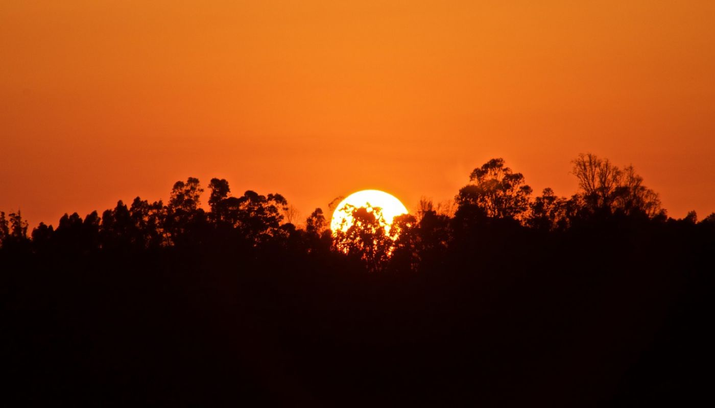 Exploración de oasis ocultos