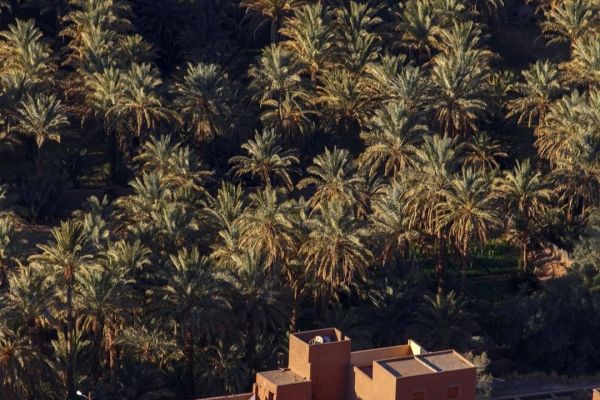 Viaje de 2 días desde Marrakech al desierto de Zagora ( 2 Días en Marruecos )