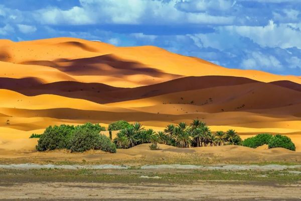 Viaje de 3 días desde Marrakech al desierto de Merzouga ( 3 Días en Marruecos )
