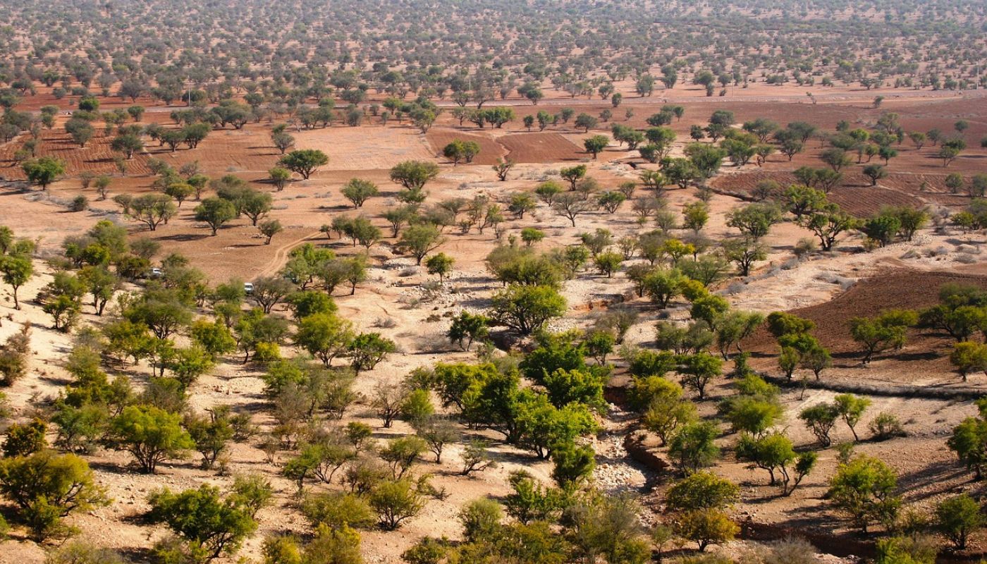 Rutas salvajes por el Atlas