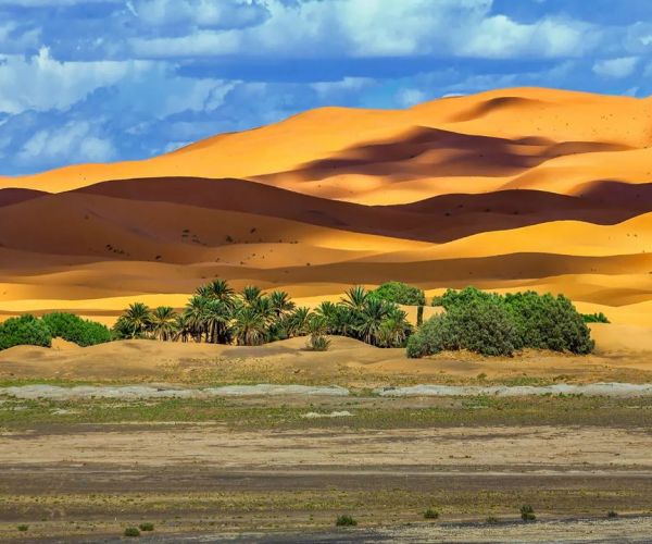 Circuito 15 días Tour Completo de Norte al Sur Marruecos ( 15 Días en Marruecos)