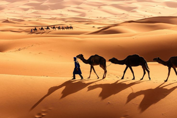 Ruta al Desierto desde Marrakech en 5 Días y 4 Noches Viaje a Merzouga