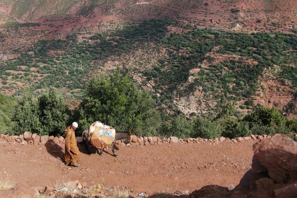 Ruta de 5 Días por las Montañas del Atlas y Pueblos Bereberes desde Marrakech