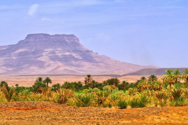 Viaje de 14 Días por Marruecos: Marrakech, Desierto y Norte del País