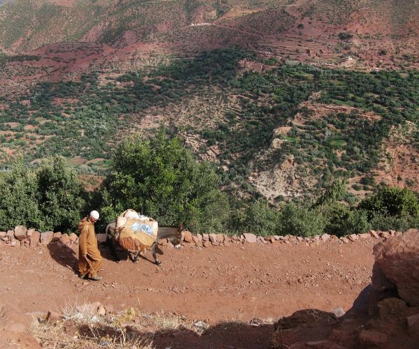 Ruta de 5 Días por las Montañas del Atlas y Pueblos Bereberes desde Marrakech