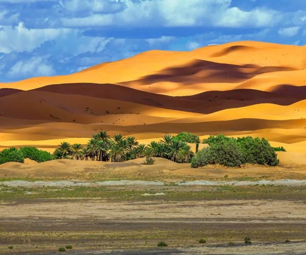 Circuito de 15 Días por Marruecos: Tour Completo del Norte al Sur