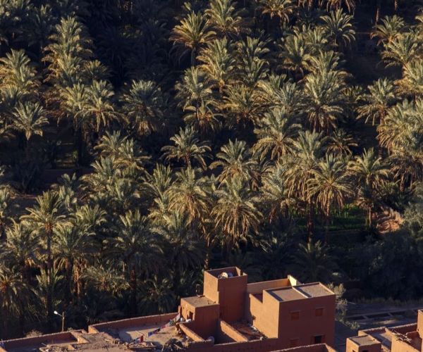 Desierto de Zagora desde Marrakech en 2 días
