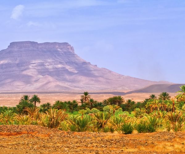 Viaje de 14 Días por Marruecos: Marrakech, Desierto y Norte del País