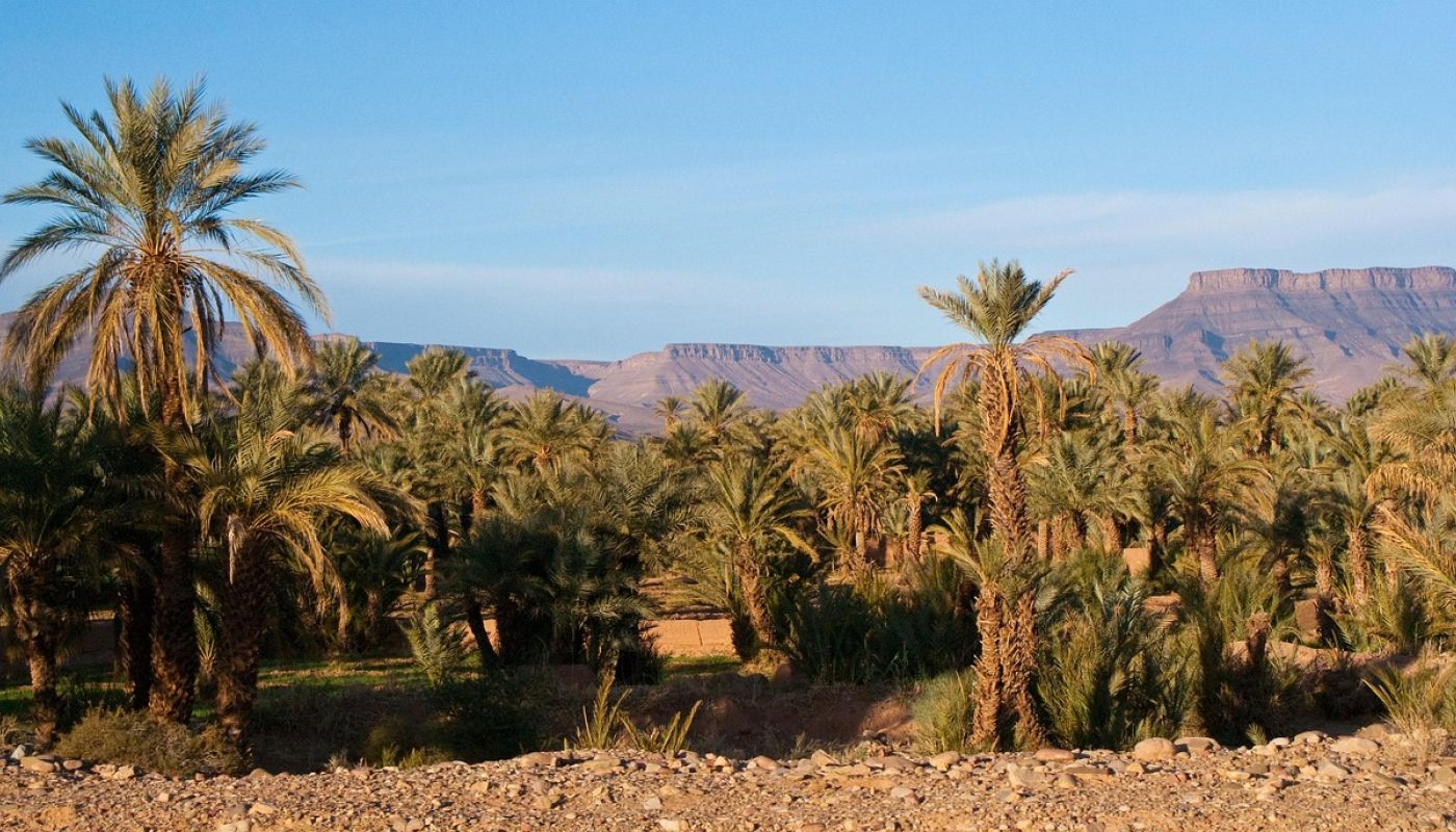 Aventura en Marrakech: Cultura y paisajes