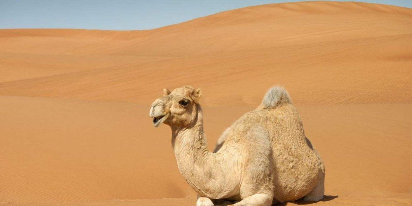 viaje a marruecos