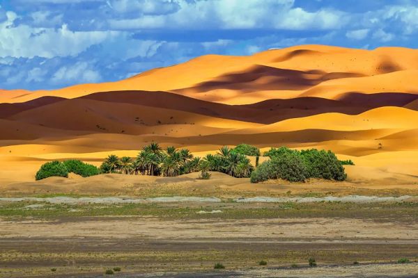 Circuito de 15 Días por Marruecos: Tour Completo del Norte al Sur