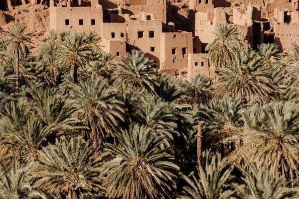 Viaje de 10 Días desde Tánger por Ciudades Imperiales y Desierto de Marruecos