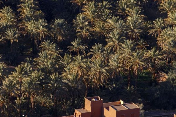 Viaje de 2 días desde Marrakech al desierto de Zagora ( 2 Días en Marruecos )