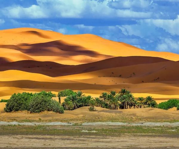 Viaje de Marrakech al desierto de Merzouga en 3 días